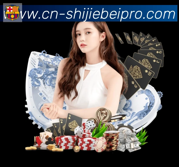 未来规划
